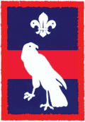 Hawk patrol badge