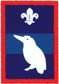 Kingfisher patrol badge
